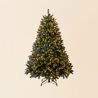 The NFL Tree™
